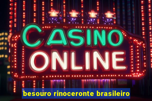 besouro rinoceronte brasileiro